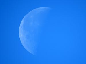 0_99a1e_316fa557_-1-L.jpg