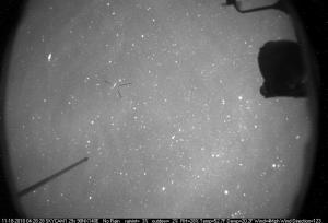 153040 meteor Leonid .jpg