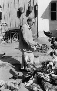 1958_1.jpg