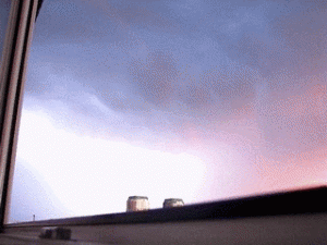 1.gif