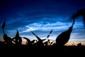 20110626-_MG_7522.jpg
