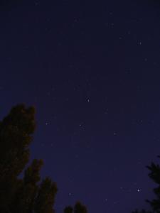 20110729___1.jpg