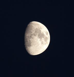 20120728-IMG_3985.jpg
