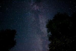 20120729-IMG_4004.jpg
