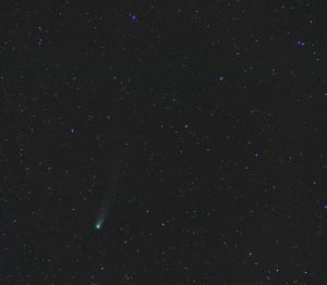 20131229_C2013_R1_Lovejoy.JPG