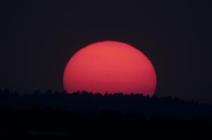 21h06m 4 IS0 100 1-100.jpg