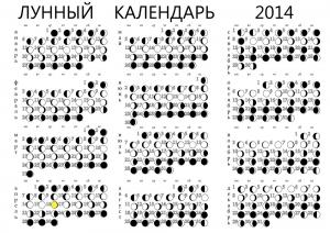 2_1000pix.jpg