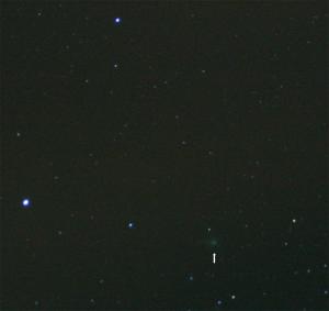 489.jpg