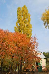 ������ ����� ������������ � ��������.JPG