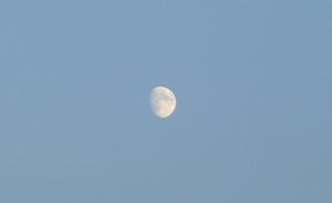 cimg33552_130_Crop.jpg