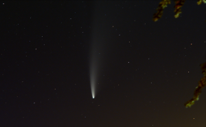 Comet-C-2020-F3-NEOWISE--13.07.2020--F-125--A-5--ISO-800--Texp--300s-small.png