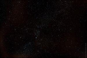 cygnus.jpg
