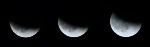 Dec.12.2011.moon.eclipse.reduced.jpg