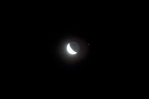 DSC03555.jpg