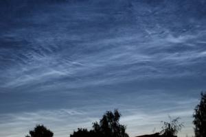 DSC03967_.jpg