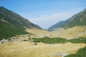DSC_0172.JPG