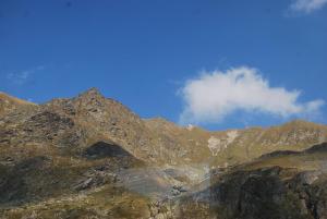 DSC_0491.JPG