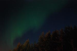 DSC_2362.JPG