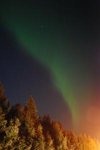 DSC_2365.JPG