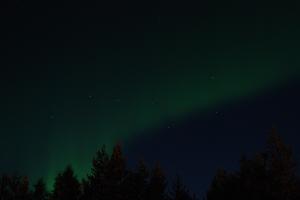 DSC_2372.JPG