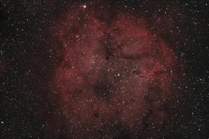 Elephant Trunk Nebula, IC 1396 (20201110).jpg