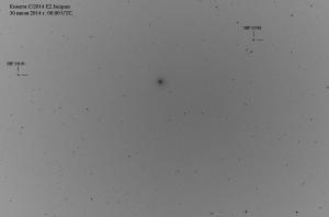 Gray_1200_1.jpg