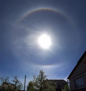 halo 100px.jpg