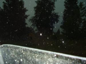 i00017f.jpg