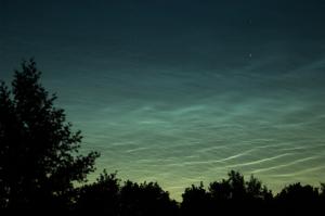 IMG_0199.JPG
