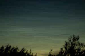 IMG_0205.JPG