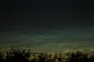 IMG_0298.JPG