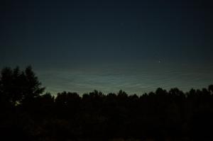 IMG_0305.JPG