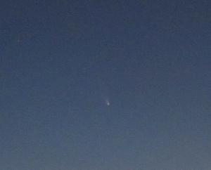 IMG_0324_crop.jpg