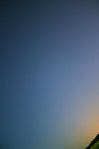 IMG_0510qf.jpg