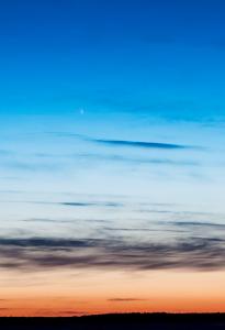 IMG_0627r-web.jpg