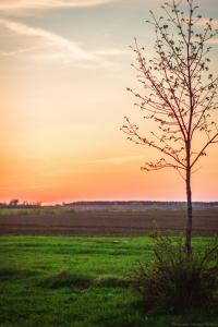 IMG_0705-7_30%.jpg