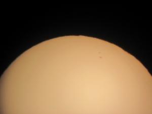 IMG_2179.jpg