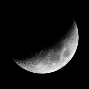 IMG_2542-r.jpg