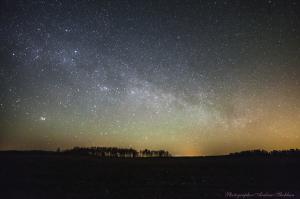 IMG_2726-2_40%.jpg