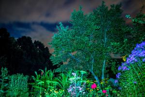 IMG_2874-1_30%.jpg
