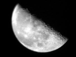 IMG_3821_1.jpg