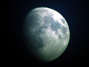 IMG_3966.jpg