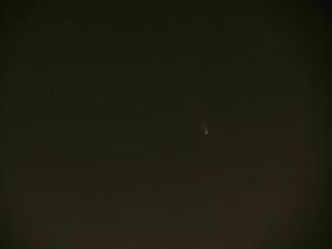 IMG_3987_i.jpg