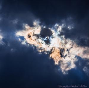 IMG_4432-146.jpg