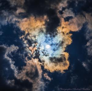 IMG_4434-147.jpg