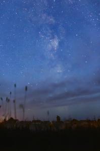 IMG_6842-21 Panorama_40%.jpg