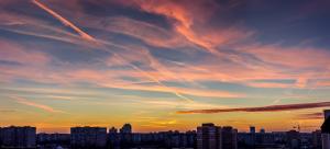 IMG_6954-5 Panorama-1_17%.jpg