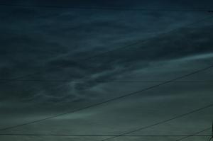 IMG_7786.jpg