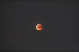 IMG_8450_1.jpg