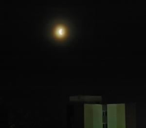 IMG_8480_2.jpg